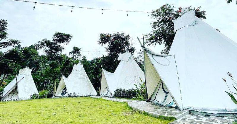 Instagram.com/sparksforestadventure